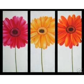 Bild-Satz-drei-Blumen (413set048) - Anleitung