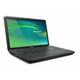 Bedienungsanleitung für Notebook LENOVO G555A (59033469) schwarz