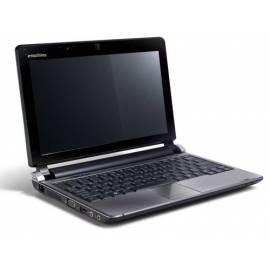 Notebook ACER E-Machines 250-01G16I (LX.N970B.052) schwarz