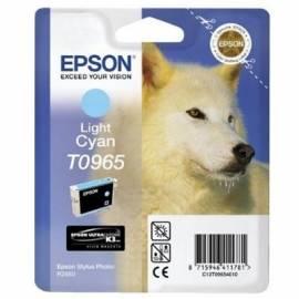 Datasheet Tinte EPSON T0965, 13ml (C13T09654020) blau