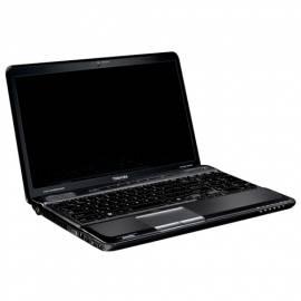 TOSHIBA Laptop Satellite Pro A660-133 (PSAW3E-02100DCZ) schwarz