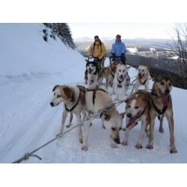 Mushing-Fahrt und Togsled für 1 Erwachsene Person (riesige Berge) Region Mushing: Hradec Kralove Gebrauchsanweisung