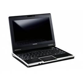 Notebook TOSHIBA NB100 - 11G Gebrauchsanweisung