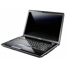 Bedienungshandbuch NTB-Toshiba P300-225-Satelliten