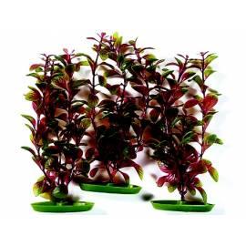 Ludwigia, Red Pflanze 30 cm 3 (PP2122-101) Bedienungsanleitung