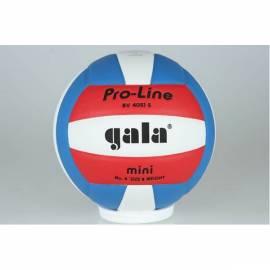 Ball Volleyball GALA für Linie 4051 mit Bedienungsanleitung