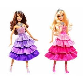 PDF-Handbuch downloadenSparkly Princess Mattel