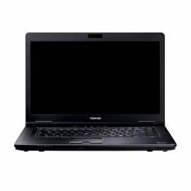 Notebook TOSHIBA A11 1GE (PTSE0E-0F205NCZ)