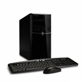 Desktop-PC ACER ET1840 (PT.NCJE 2.031) schwarz