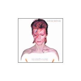 Handbuch für David Bowie Aladdin Sane