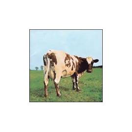 Pink Floyd Atom Heart Mother [Remastered] Gebrauchsanweisung