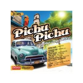 Benutzerhandbuch für Verschiedene Künstler Pichu Pichu & Mega Hits 2011