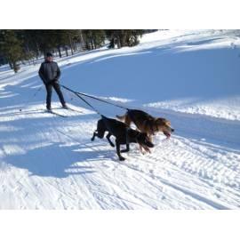 Handbuch für Husky-Rodeln-Skijöring für 2 Personen (riesige Berge) Region: Hradec Kralove