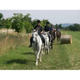 Service Manual Reise in die Landschaft Reiten alle Tagesausflug für 1 Person-8 Stunden (etwa Kunetice Berg) Region: Pardubice