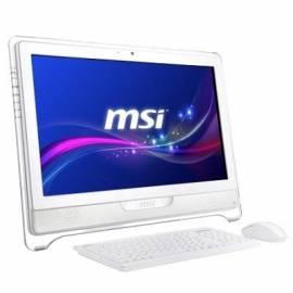 Computer alle In ein MSI Wind TOP AE2211-028CS 21,5 & i3-2100, 4GB, 500GB, DVD?R/RW, HD 2000, W7 HP Bedienungsanleitung