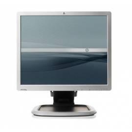 HP L1950g Monitor (KR145AA) grau